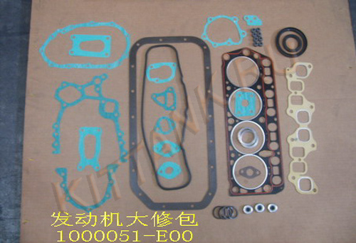      () GW DEER SAFE 491, : 1000051-E00