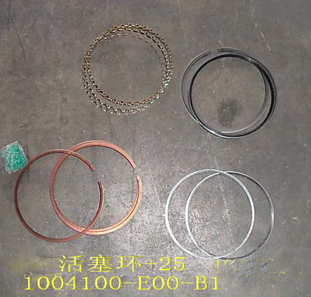 ������ ��������� (R1+0,25) �-� 491 ������ GW DEER SAFE, �������: 1004100-E00-B1