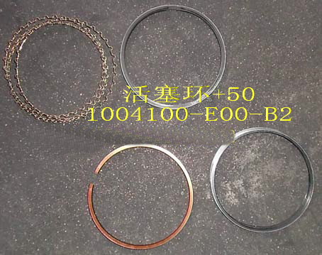 ������ ��������� (R2+0,5) �-� 491 ������ GW DEER SAFE, �������: 1004100-E00-B2