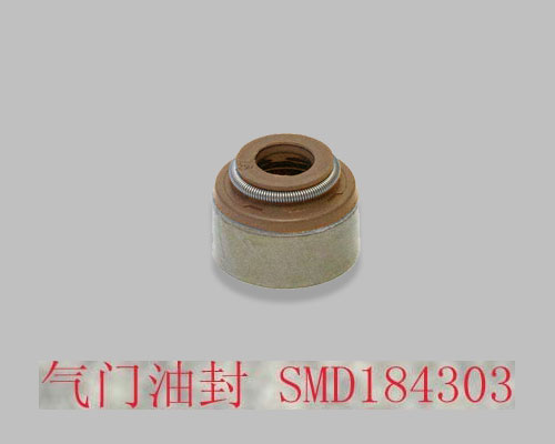   TIGGO, : SMD184303