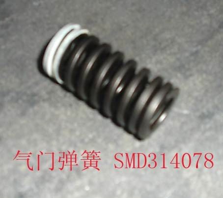   ZX LANDMARK,GT, : SMD314078